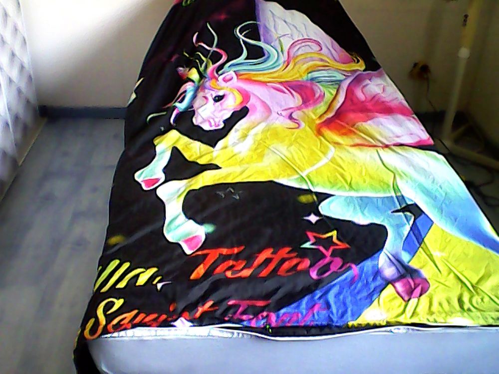 parure de lit 10 �chigey (21)