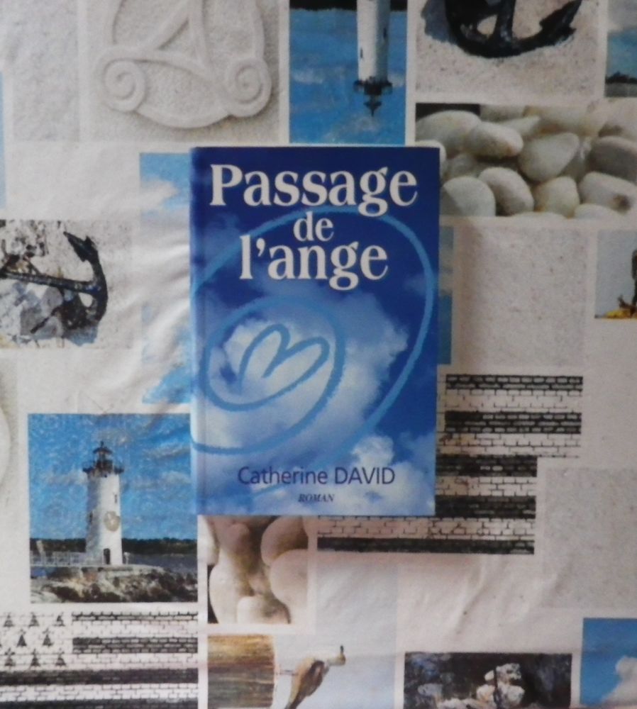 PASSAGE DE L'ANGE de Catherine DAVID Le Grand Livre du Mois 4 Bubry (56)