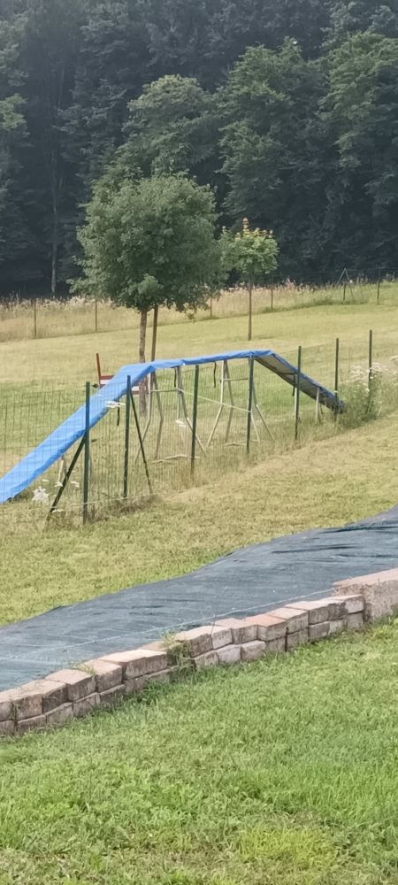 passerelle d'agility 650 Ussac (19)