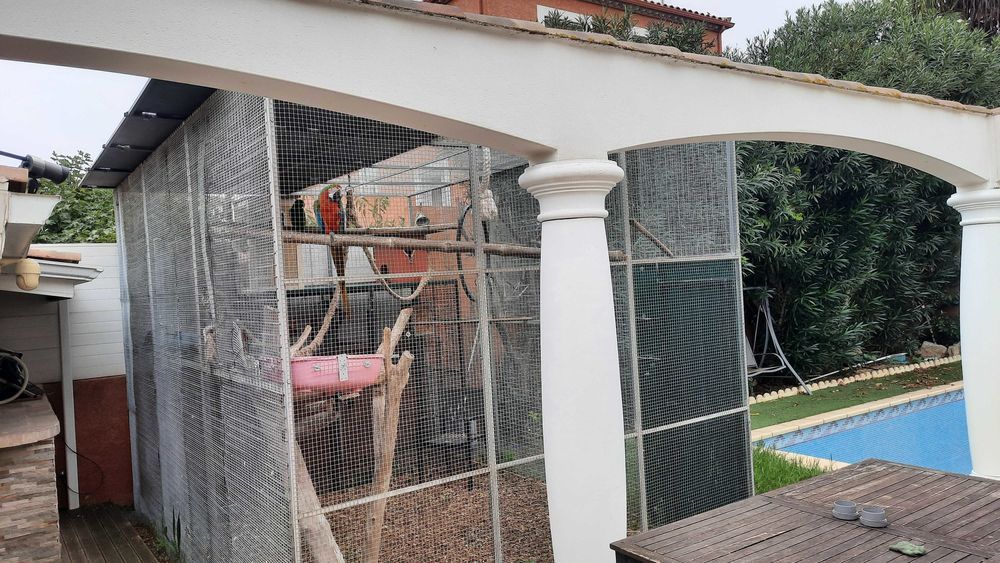 passionn� d'oiseaux 0 B�ziers (34)