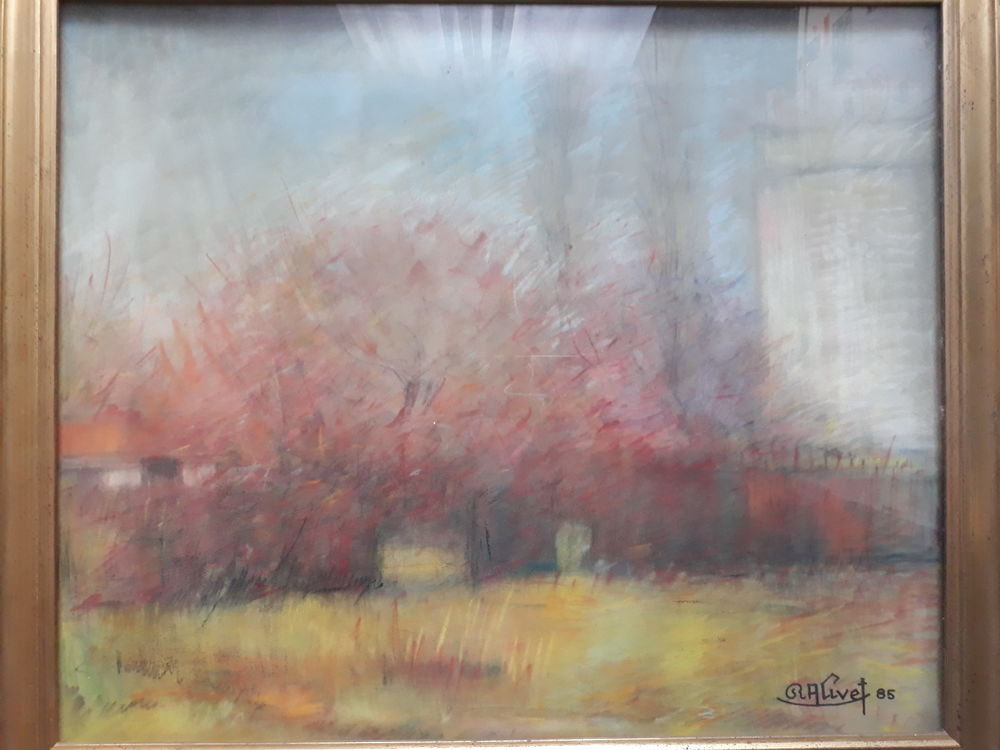 PASTEL SOUS VERRE AVEC SON CADRE 90 Conflans-Sainte-Honorine (78)