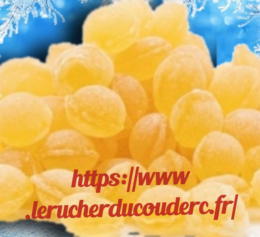 Pastilles et perles de miel 4 Yolet (15)