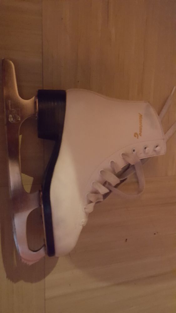 Patin � glace 20 �vry (91)