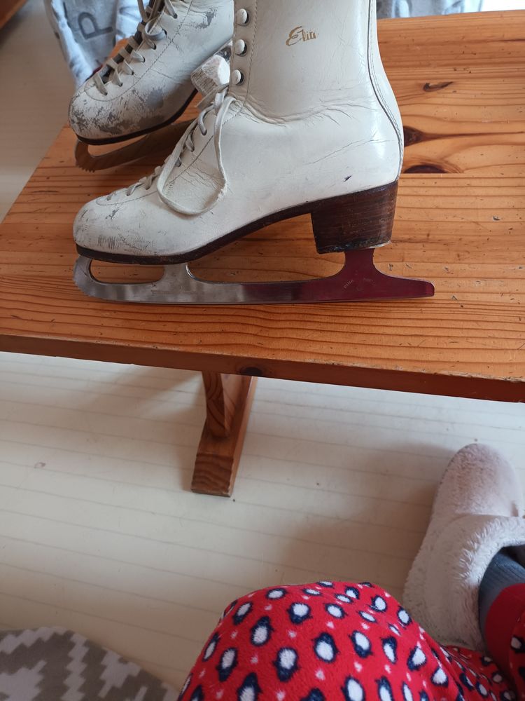 Patin � glace 40 Rennes (35)