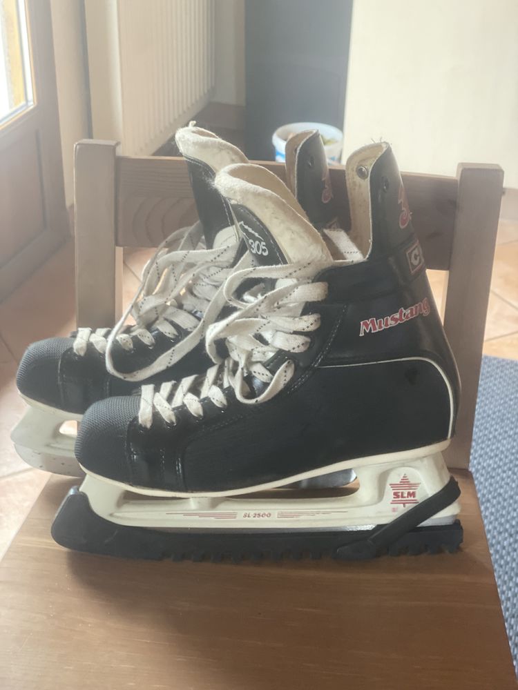 Patins � glace 40 Grosne (90)