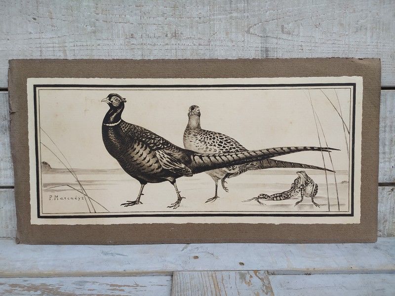 Paul MARCUEYZ Lithographie Faisans et Grenouilles Chasse
1 Loches (37)