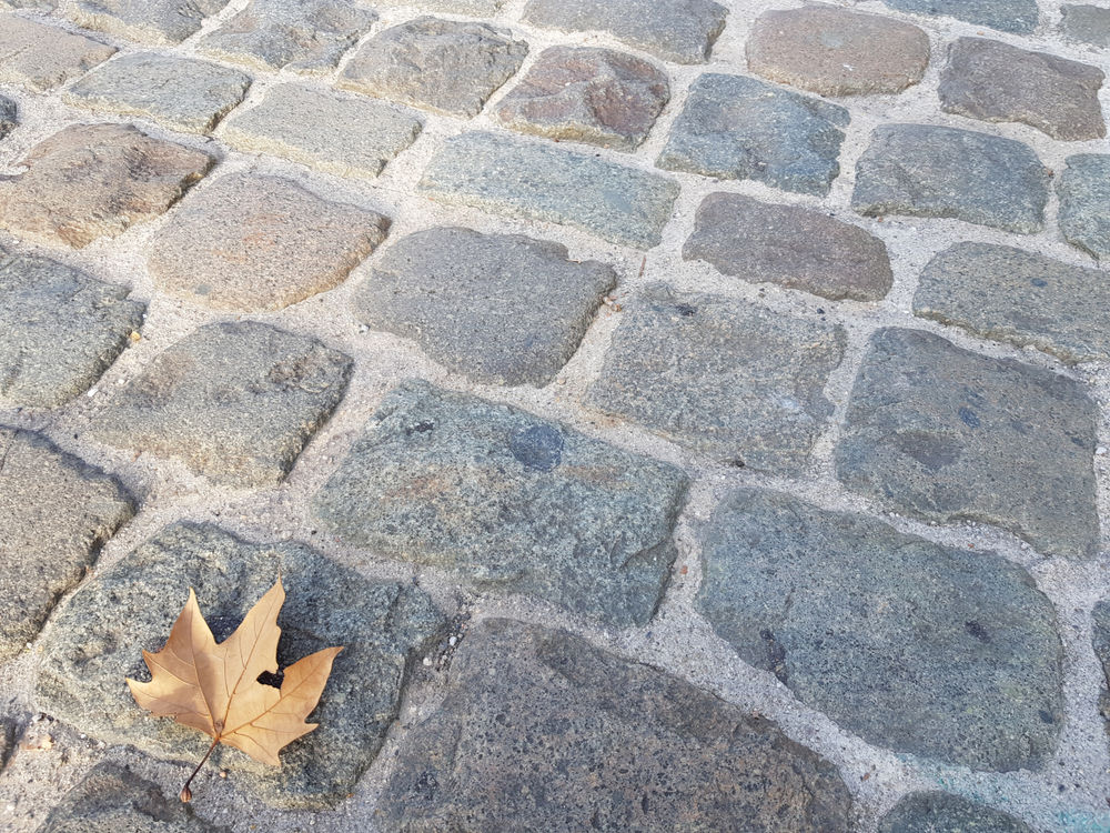 Pav�s de Lyon 15x15x15 cm 82 M�ry (73)