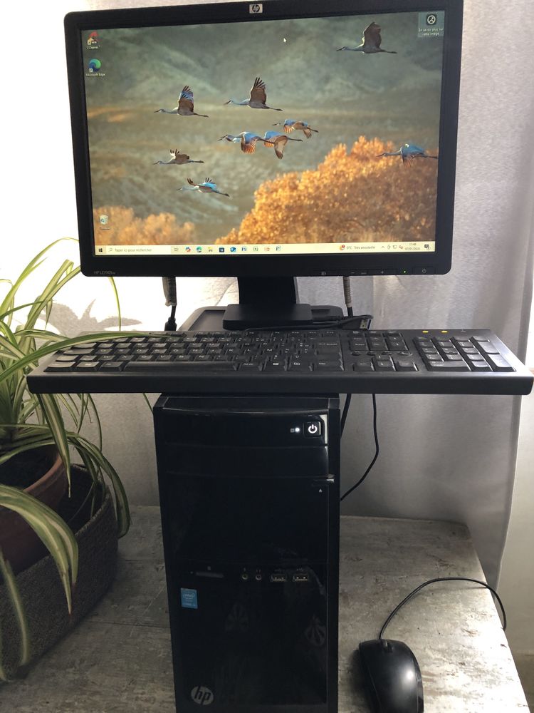 PC HP pavillon complet 200 Boisset-et-Gaujac (30)