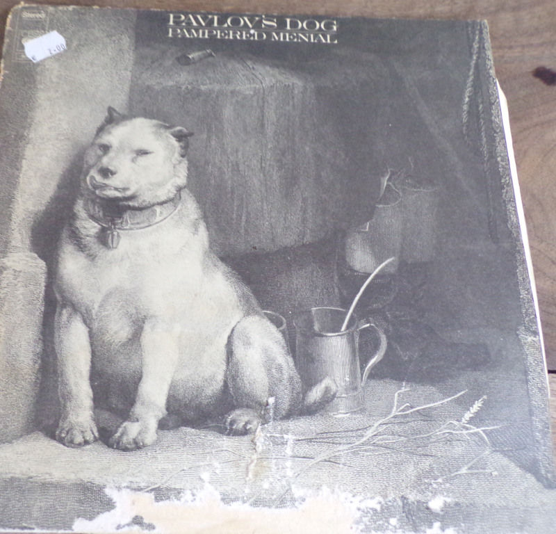 Pavlov's dog pampered menial disque vinyle 16 Laval (53)