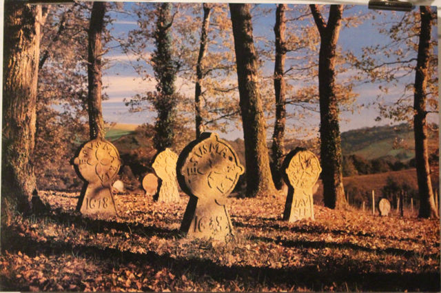 PAYS  BASQUE  :   LES  STELES DISCO�DALES    8 Anglet (64)