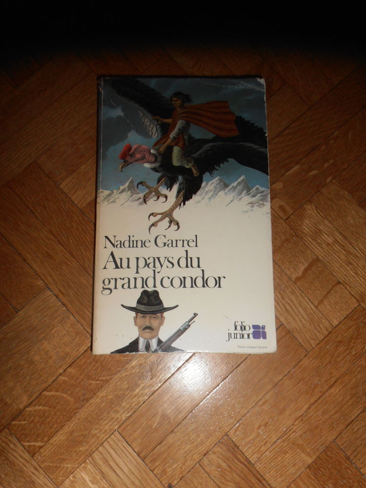 Au pays du grand condor (89) 3 Tours (37)