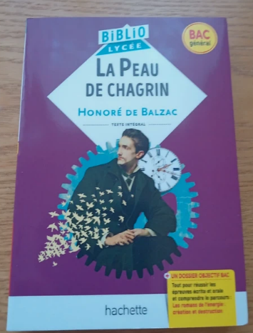 La Peau de chagrin 2 Poitiers (86)