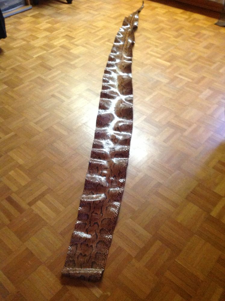 peau de serpent 100 Brumath (67)