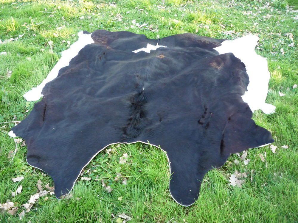 Peau de vache blanche et noire 125 Castres (81)