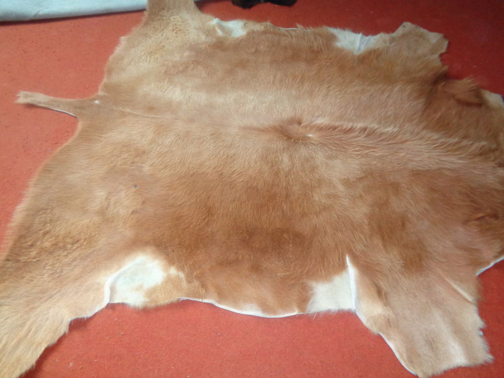 peau de vache 25 Montlu�on (03)