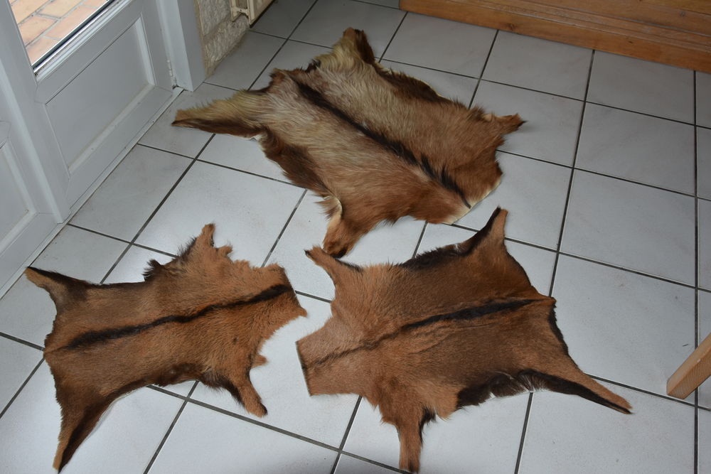 Peaux de Chevreau 0 Saint-Laurent-Blangy (62)