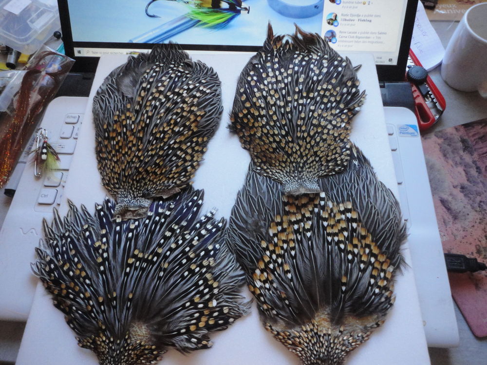 peche � la mouche 0 Aureilhan (65)