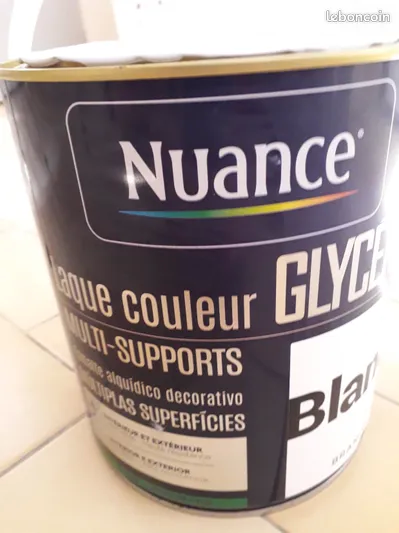 Peinture laque glyc�ro blanc satin 20 Charmont-sous-Barbuise (10)