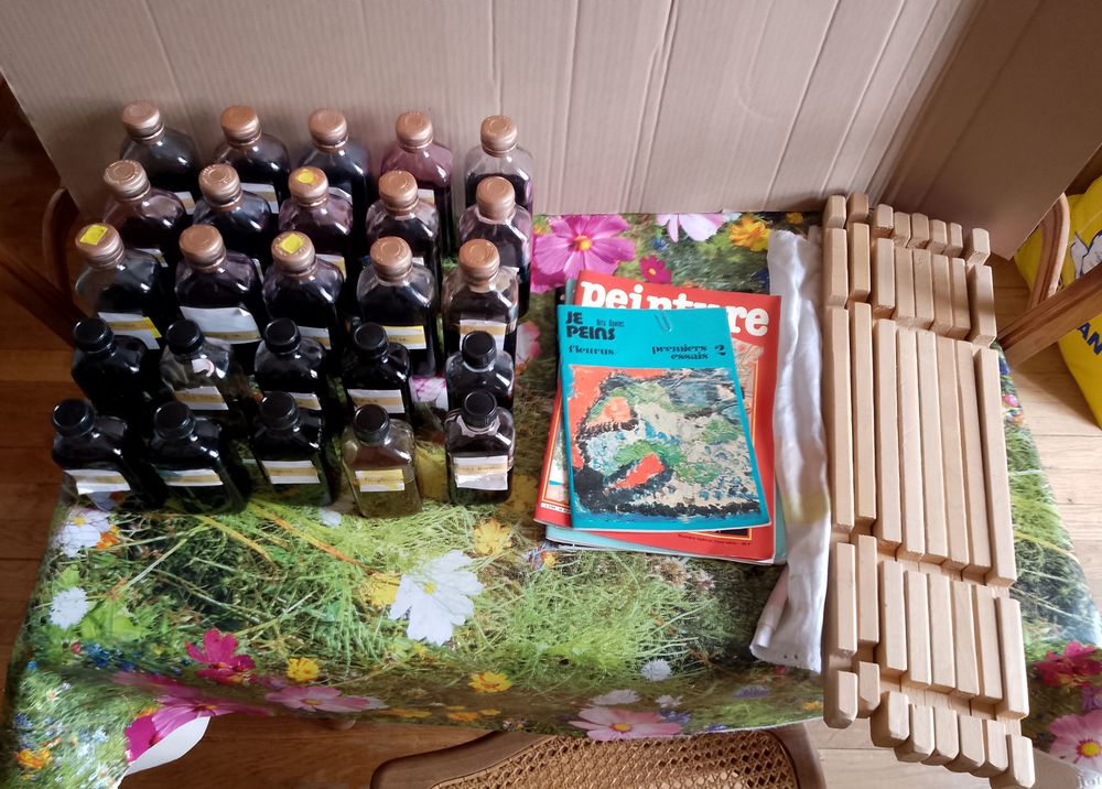 PEINTURE SUR SOIE 15 Saint-�tienne (42)