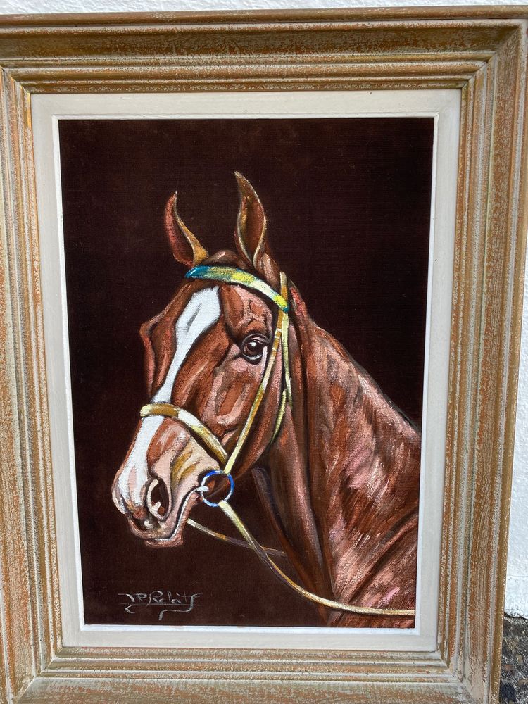 Peinture t�te de cheval sur toile en velours 34 Morsang-sur-Orge (91)
