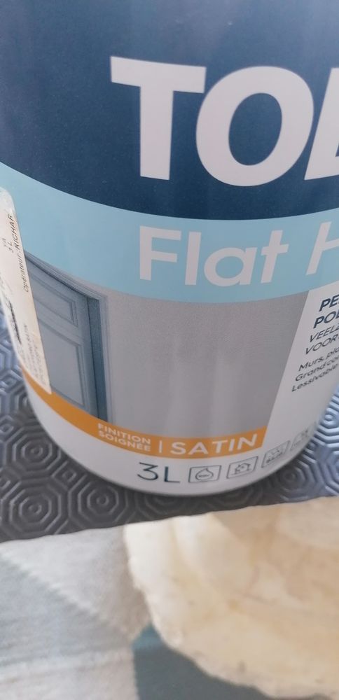 Peinture tollens couleur tomette EE151
Environ 2 litres. 12 Saint-Rapha�l (83)