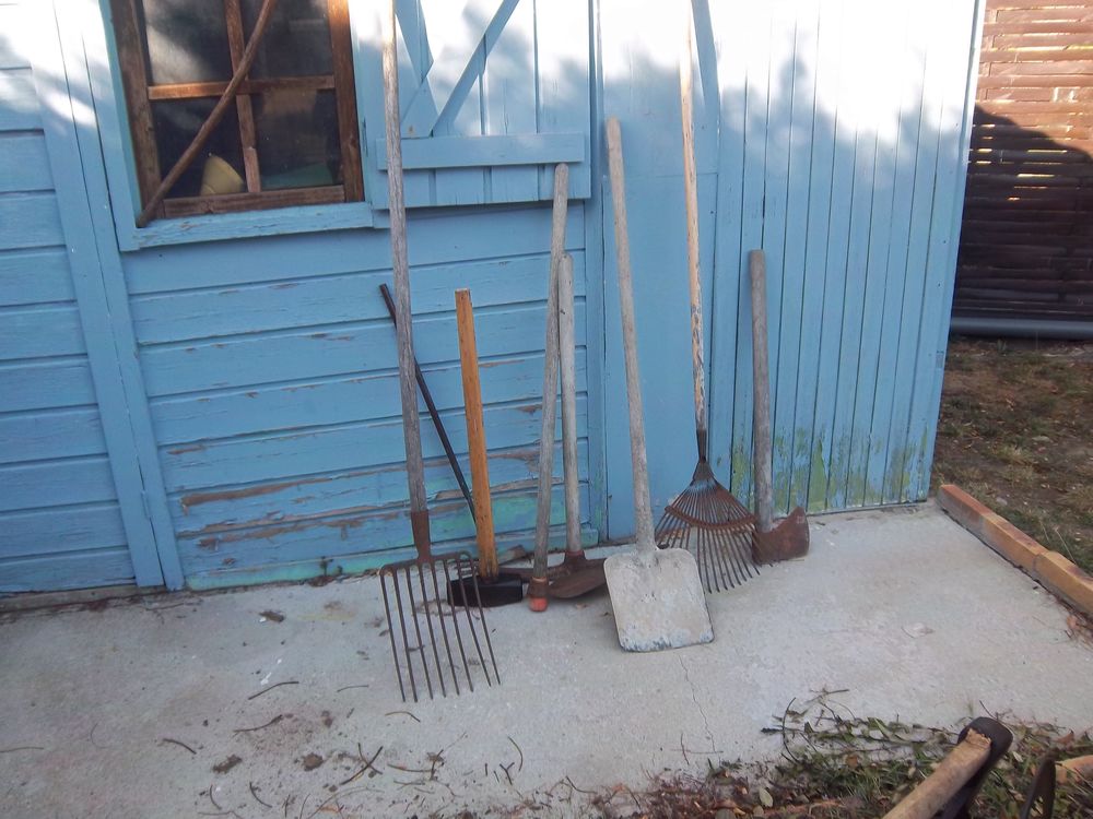 pelle 25 Lormont (33)