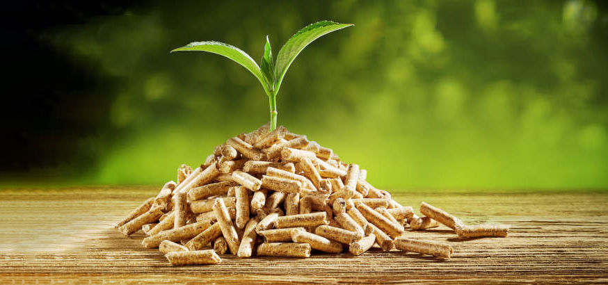 Pellets granul�s bois 423 Flers (61)