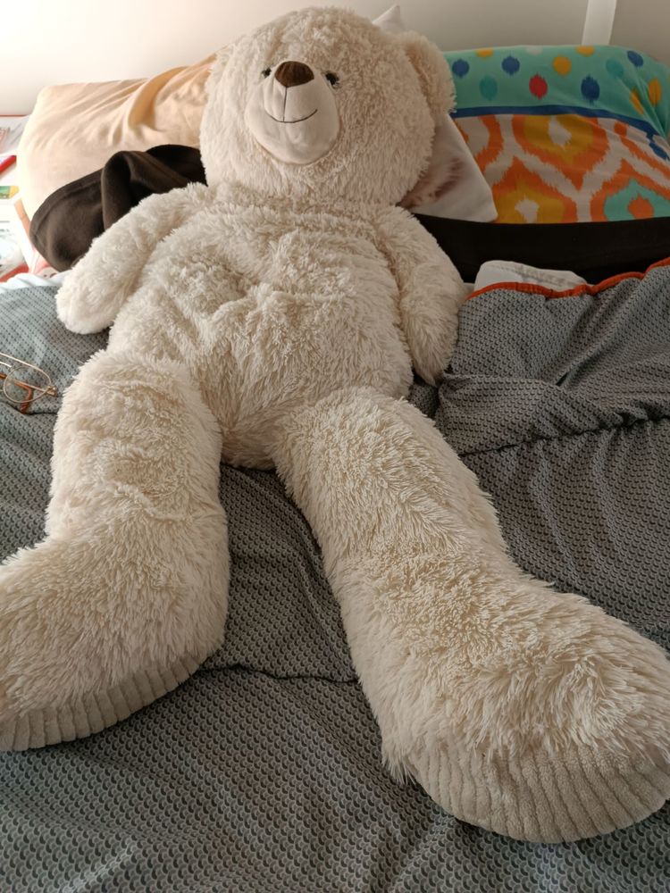 Peluche 1metre de haut 15 Angers (49)