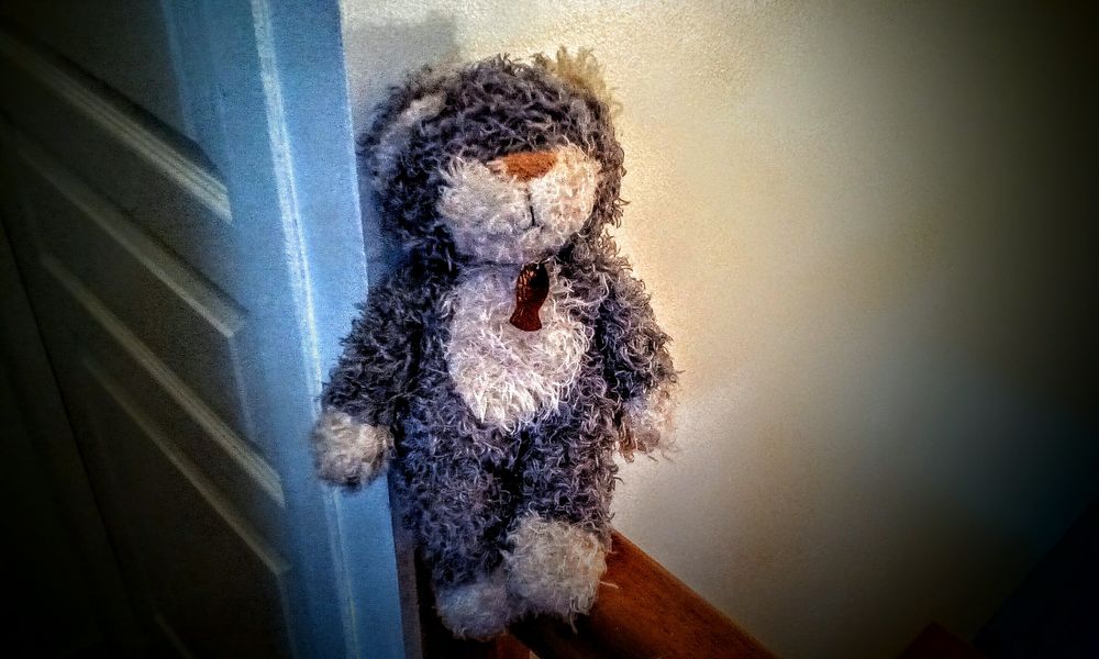 peluche chat 15 Cambrai (59)