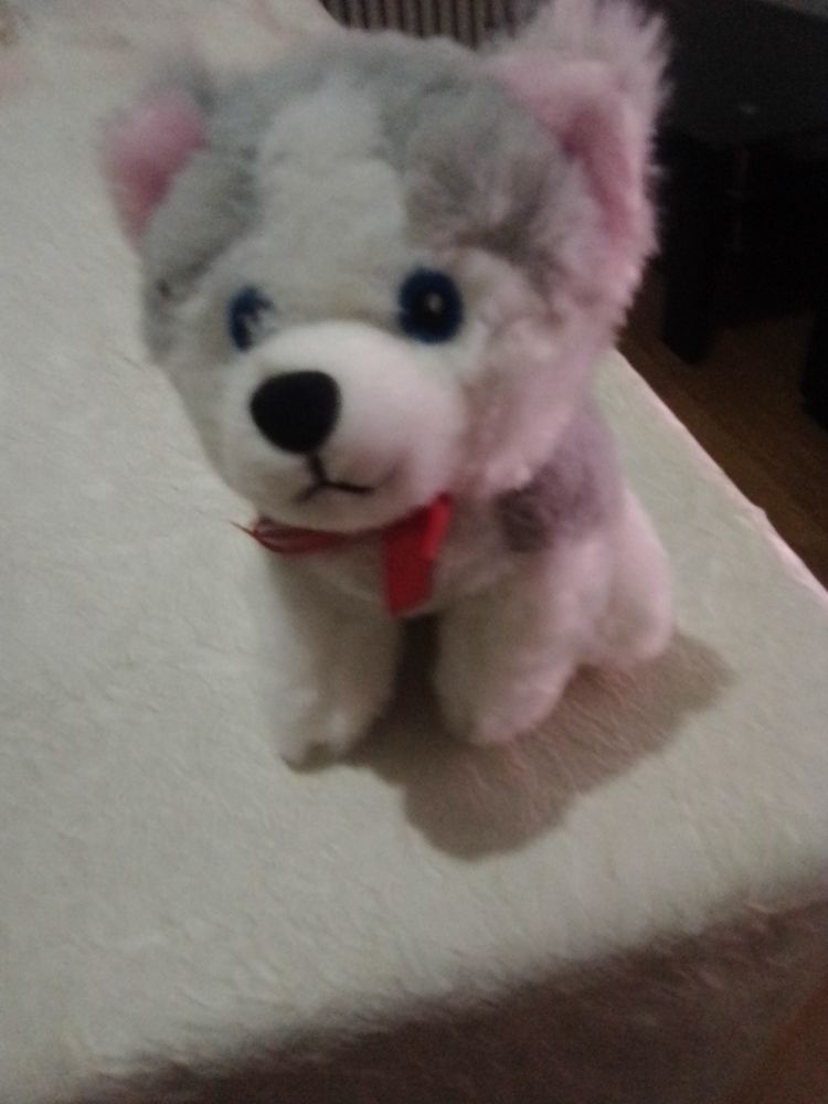 peluche chien husky 5 Marseille 2 (13)