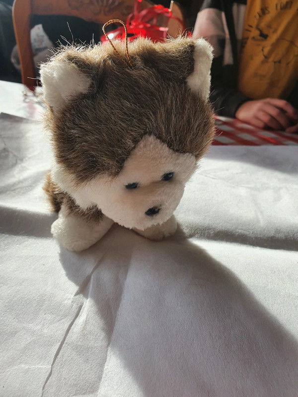 peluche chien 1 Aubvillers (80)