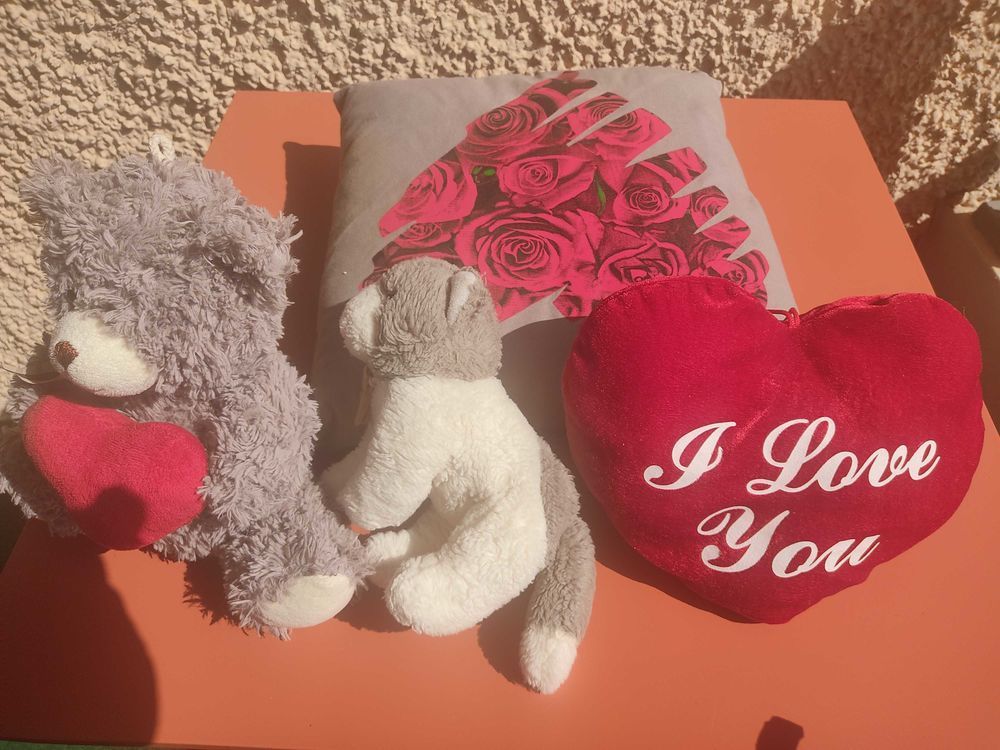 Lot peluche et coussin 19 La Seyne-sur-Mer (83)