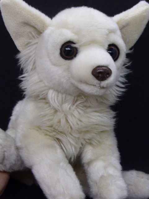 Achetez Peluche Fennec Prix Occasion Annonce Vente A Rueil Malmaison 92 Wb