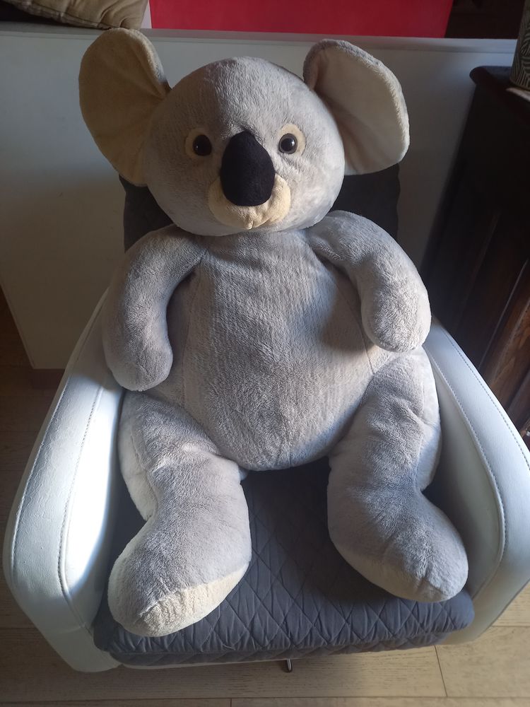 Peluche Koala 0 Brignoles (83)
