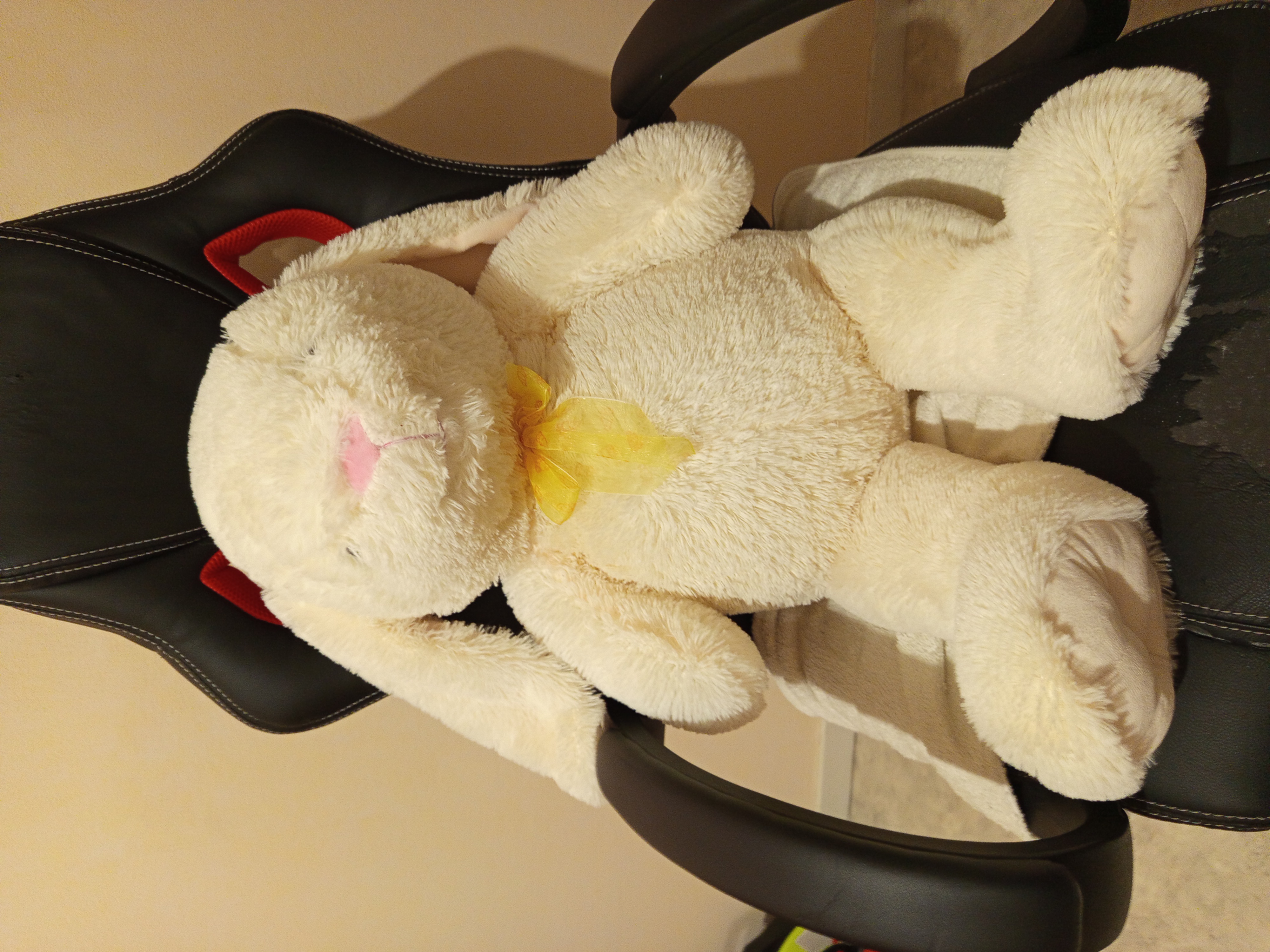 Peluche lapin 5 Marigny-le-Ch�tel (10)