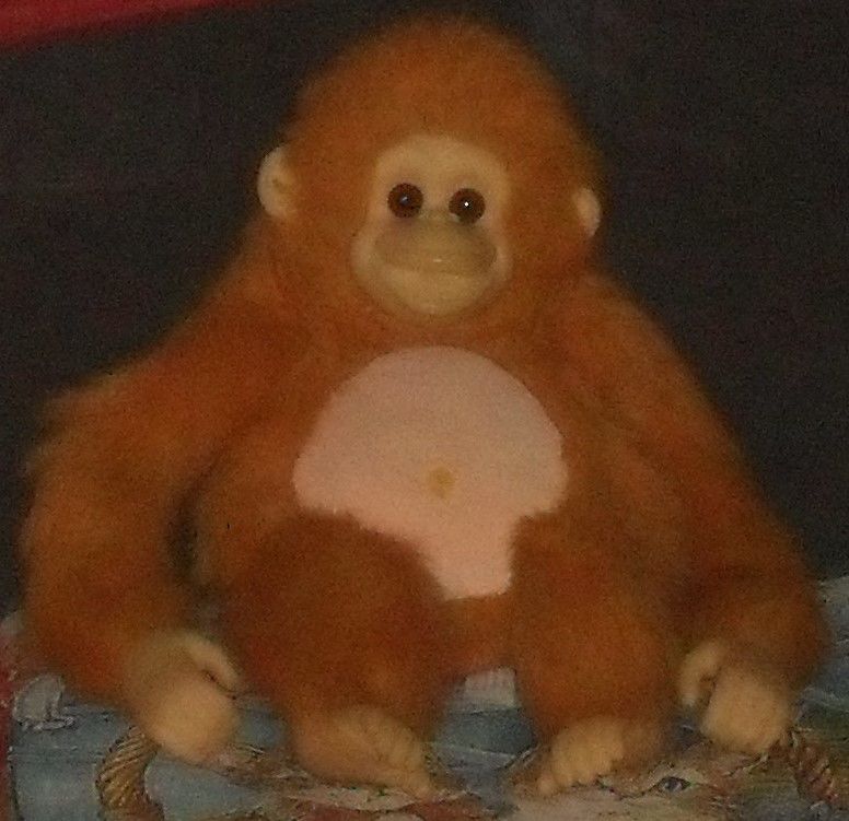 Peluche Orang Outan 50cm 17 Montreuil (93)