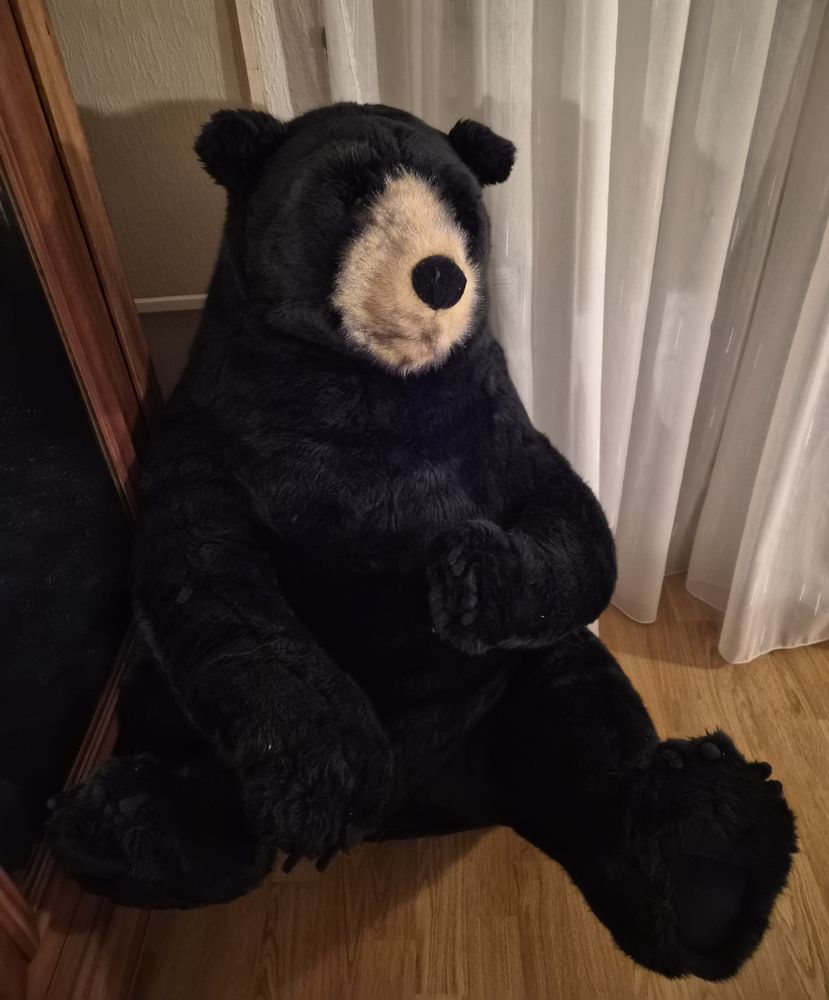 Peluche ours g�ante de 90 cm de haut assis 40 Renaison (42)