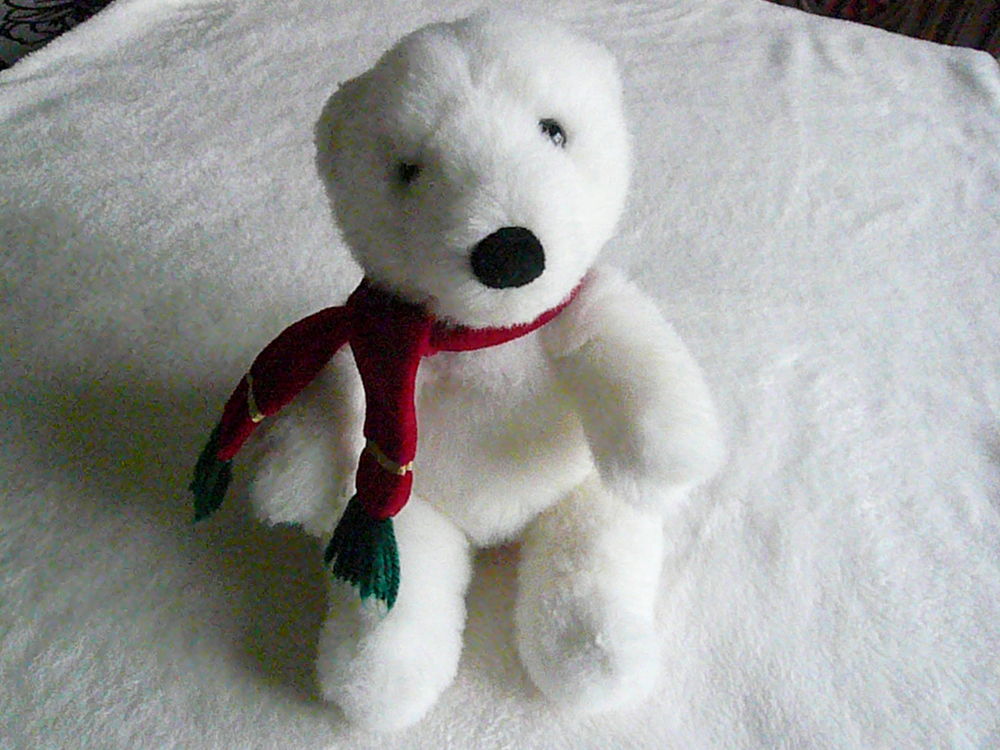 Peluche   Ours Polaire   8 Franqueville-Saint-Pierre (76)