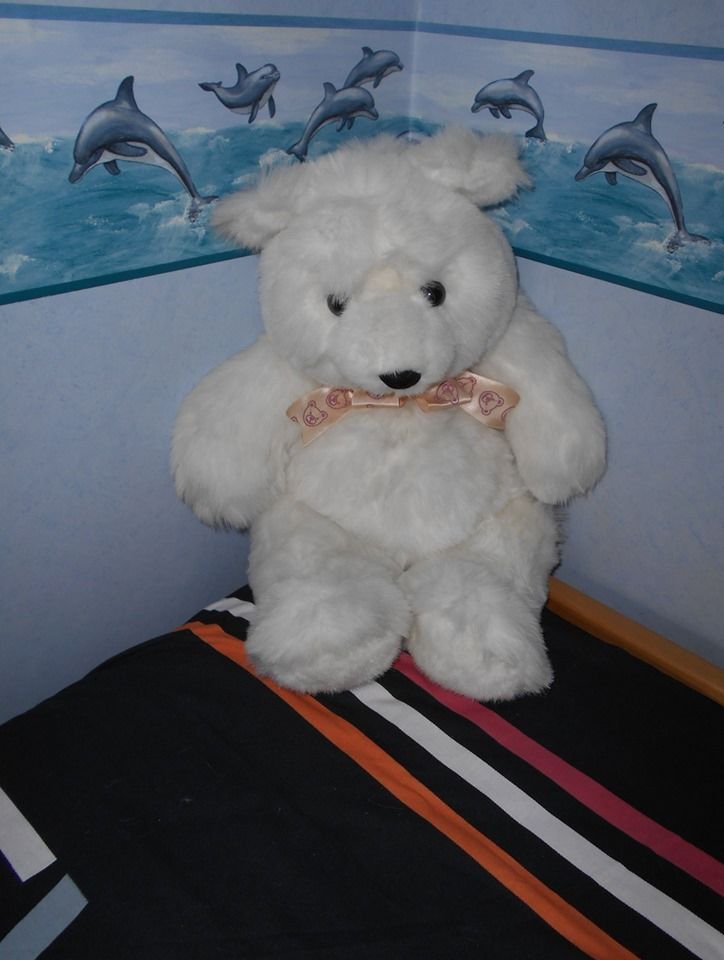 Peluche ours 50 cm 15 Rennes (35)