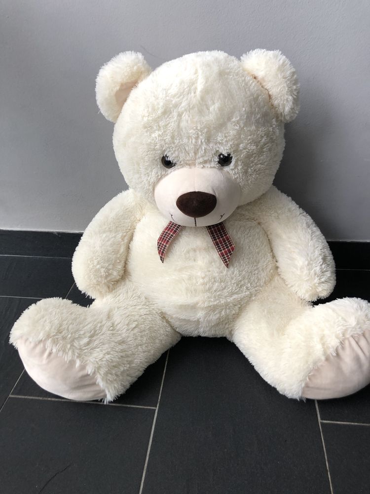 Peluche ours 20 Saint-Rapha�l (83)