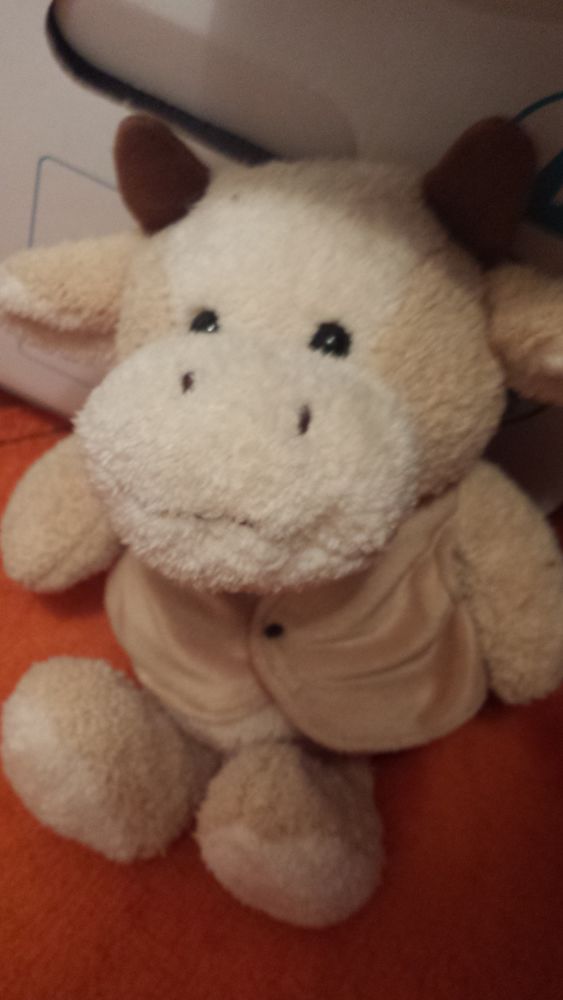 PELUCHE N� 2
PETITE VACHE
HAUTEUR 30 CM
1 Triel-sur-Seine (78)