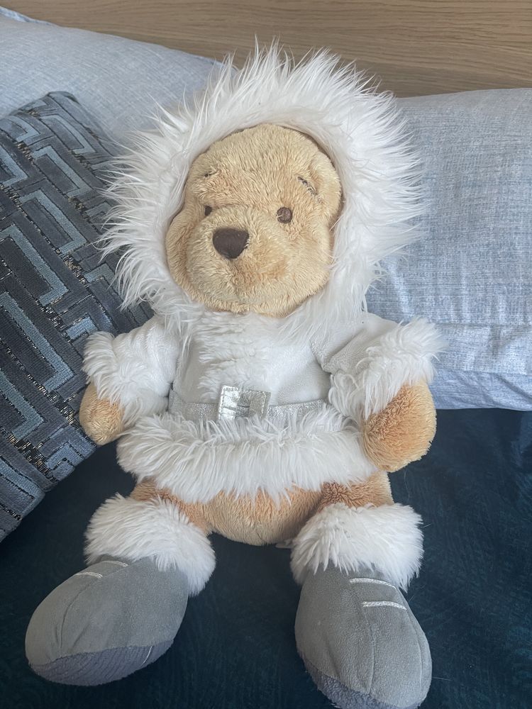 Peluche polaire winnie 8 Ferri�res-en-Brie (77)