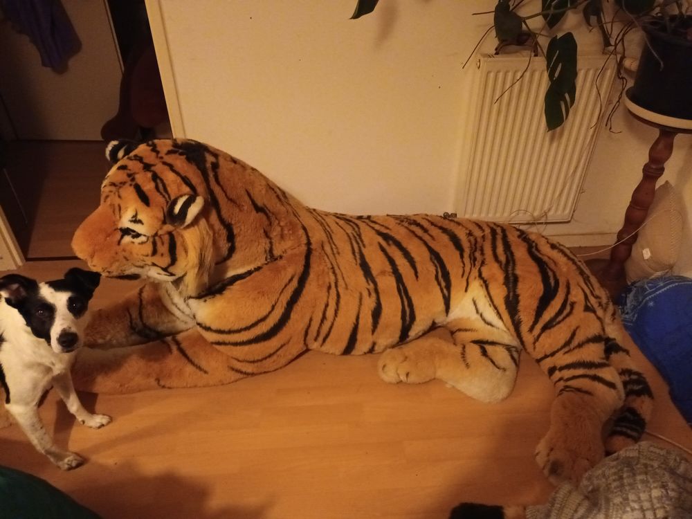 Peluche tigre g�ante 223 cm 100 Sautron (44)