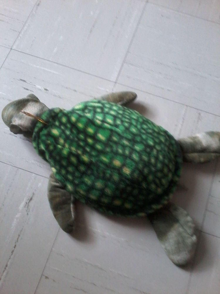 Peluche  Tortue 5 Tourcoing (59)
