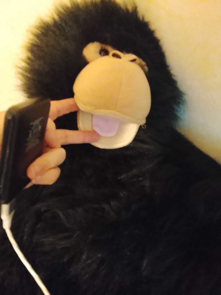 peluche ventriloque 30 Cholet (49)