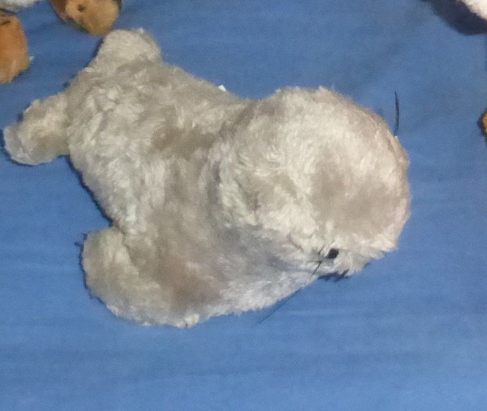 PELUCHE (1) 2 Doussard (74)