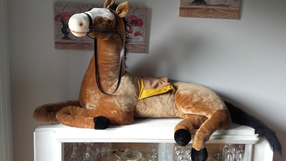 peluche 20 Prunay-le-Gillon (28)