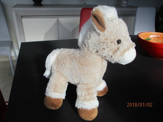Ane peluche 12 Castres (81)