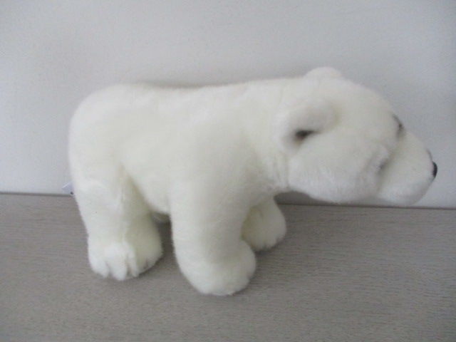 Peluche 20 Castres (81)