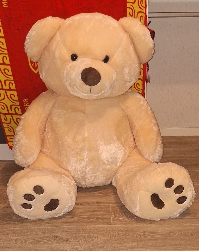 Peluche 50 Castres (81)